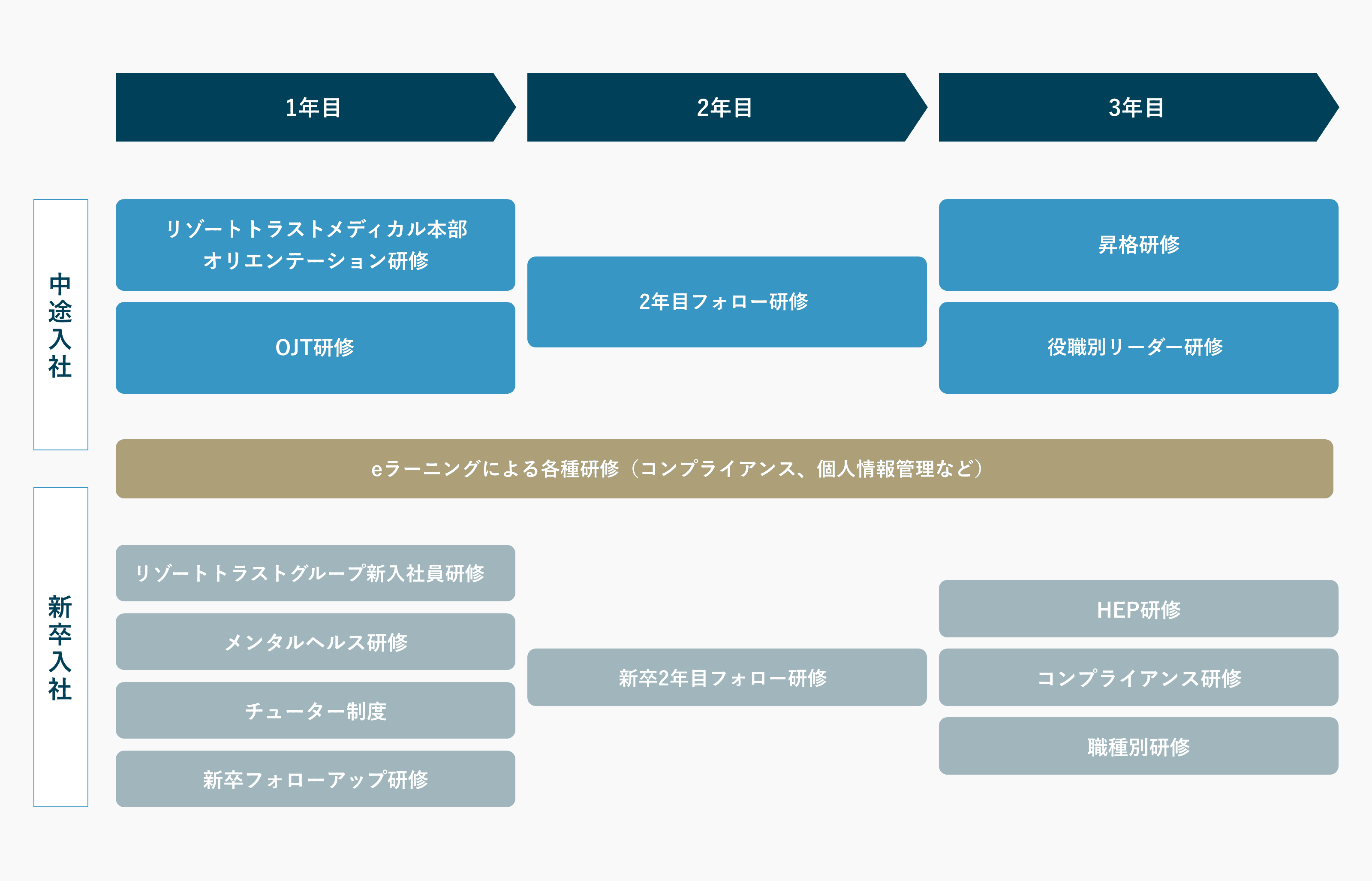 中途入社、新卒入社のそれぞれの研修内容